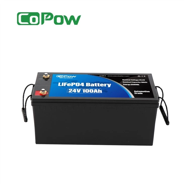 24v 100ah lithium ion battery (2)